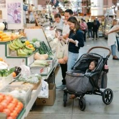 Larktale Sprout Single-to-Double Stroller/Wagon - Expandable And Foldable Stroller Wagon With Canopy, Storage, And Accessories - Nightcliff Stone -Baby Trend Store GUEST 483f195b e267 40ca 8807 c20c3f2838dd