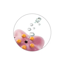 Plantoys| Sea Life Bath Set 9 Plantoys| Sea Life Bath Set -Baby Trend Store GUEST 4c30beb0 8d92 4060 a861 f5897cef0192