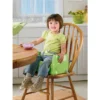 Fisher Price Fisher-Price Healthy Care Booster Seat