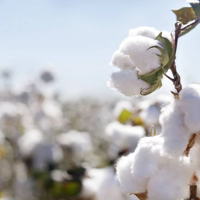 Organic Dream Pack And Play Mattress 2-Stage Dual Sided 2 Organic Dream Pack And Play Mattress 2-Stage Dual Sided - Image 2