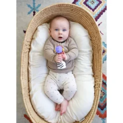 SmartNoggin NogginStik Developmental Light-up Rattle And Parent Guide -Baby Trend Store GUEST c1623d07 65ec 46d5 9b37 e48d9006c4ec