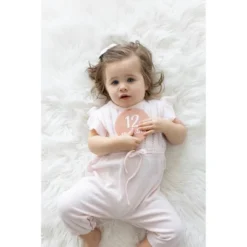 Pearhead Acrylic Milestone Props - Blush -Baby Trend Store GUEST c19bf6d0 9e3e 4d20 96db ffdf3bd9868a