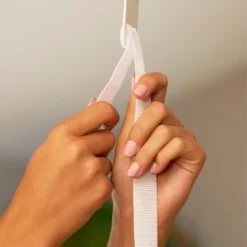 Evenflo Exersaucer Tiny Tropics 2-in-1 Baby Seat + Doorway Jumper -Baby Trend Store GUEST ce672ea0 46ec 41c5 a16c a3d8a645645a