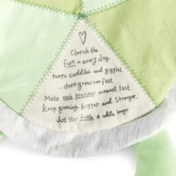 DEMDACO Grow Slow Turtle Blankie -Baby Trend Store GUEST e413a82b 1765 4f95 98ea da2ca80d3c96